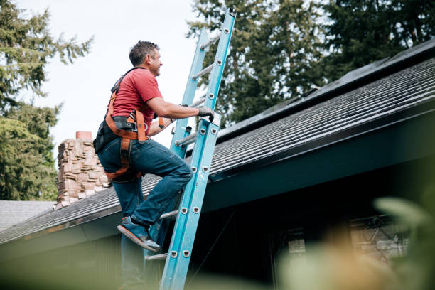 Best Steel Roofing  in Arbuckle, CA