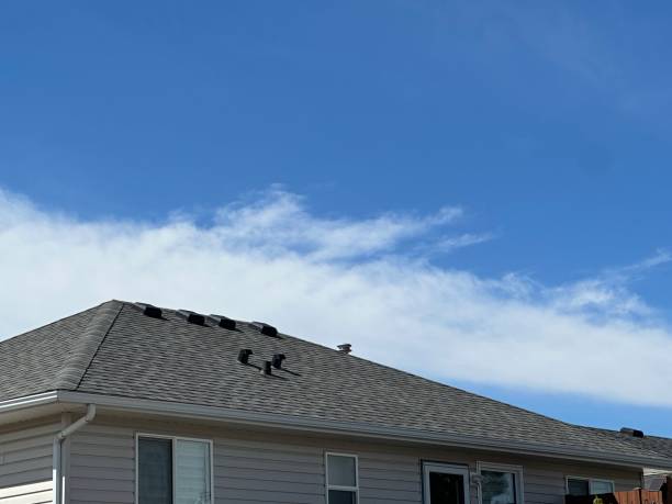 Trusted Arbuckle, CA Roofing Service Experts